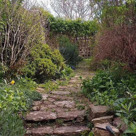 Badgers Cottage Weymouth Dış mekan fotoğraf